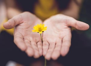 give-back