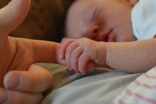 newborn baby holding hand