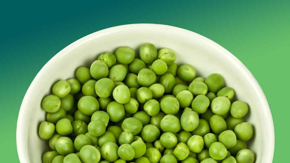 pea protein safe during pregnancy